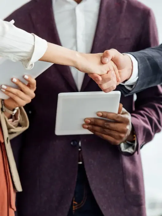 Vision RARA AVIS Consulting 2025 Vision RARA AVIS Consulting 2025